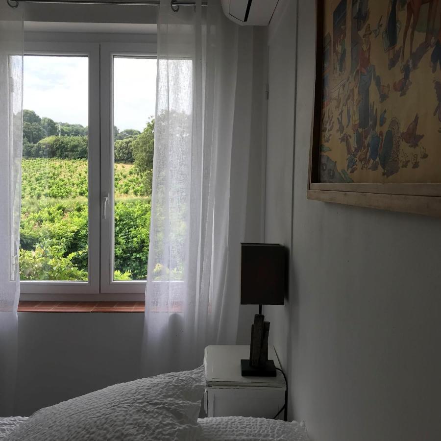 Chambres D'Hotes Et Gites Le Mas Mellou โอรองช์ ภายนอก รูปภาพ
